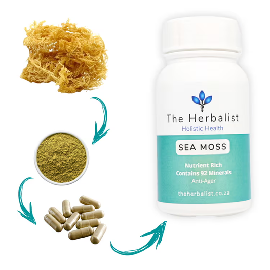 Sea Moss Capsules are a powerful antioxidant, promotes healthy skin, boosts immune system, promotes healthy skin, enhances energy, aids gut health and weight management.