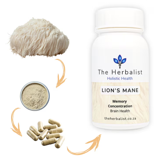 Lions Mane supports memory, focus, and brain health while reducing stress and boosting immunity. 100% natural and additive-free.